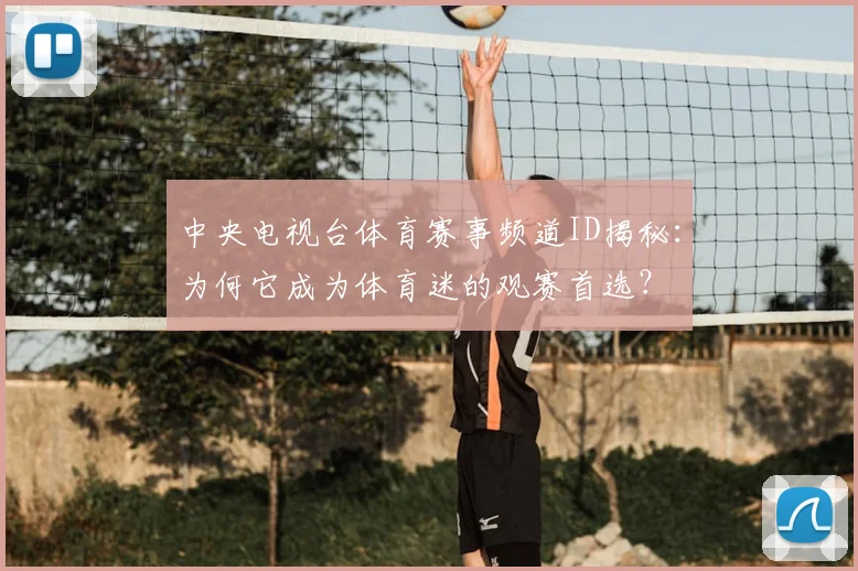 中央电视台体育赛事频道ID揭秘:为何它成为体育迷的观赛首选?